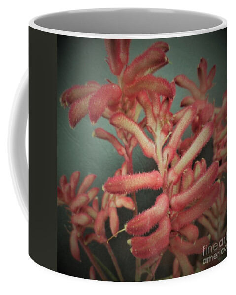 Photo Coffee Mug featuring the photograph Kangaroo Paw Plant by Julie Grimshaw
