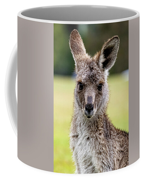 Kangaroo Coffee Mug featuring the photograph Kangaroo Portrait by Rick Nelson