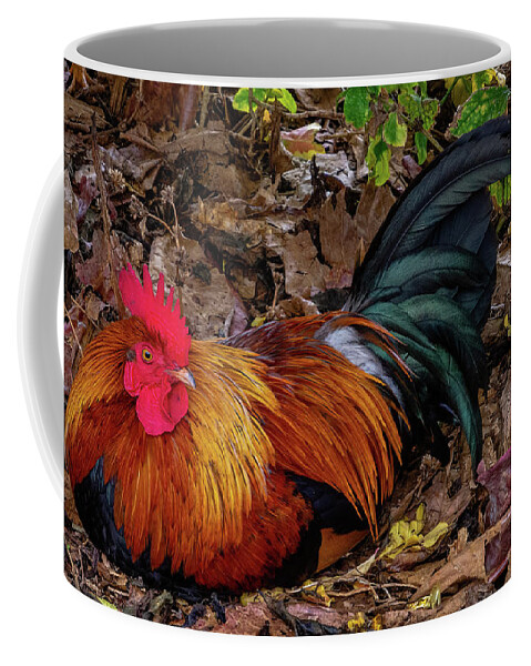 Hawaii Coffee Mug featuring the photograph Kauai Rooster. by Doug Davidson