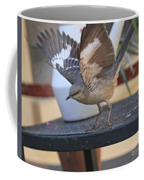 Wildlife Coffee Mug featuring the photograph KEEP AWAY FROM MY FOOD Image Two by Patricia Youngquist