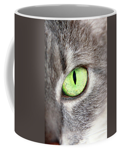 Cat Coffee Mug featuring the photograph Keeping An Eye On You by Lens Art Photography By Larry Trager