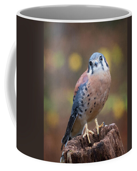 Kestrel Coffee Mug featuring the photograph Kestrel Moment by Jaki Miller