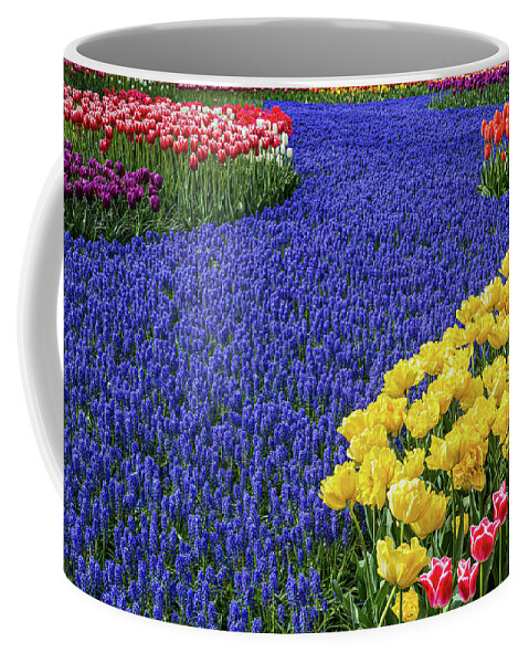Europe Coffee Mug featuring the photograph Keukenhof Gardens Tulips and Hyacinth River by Jim Miller