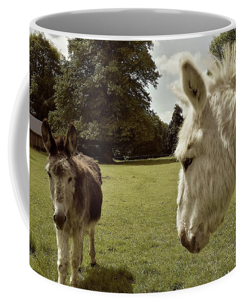 Ane Coffee Mug featuring the photograph Killarnay donkeys Irland by Joelle Philibert