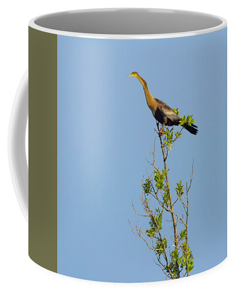 R5-2630 Coffee Mug featuring the photograph King of the Marsh by Gordon Elwell