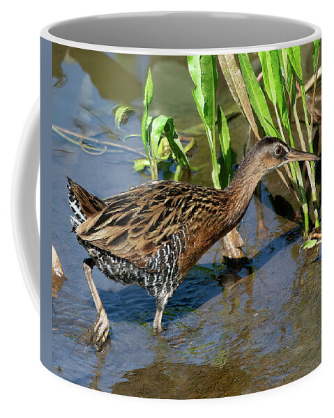 Nature Coffee Mug featuring the photograph King Rail DMSB0238 by Gerry Gantt