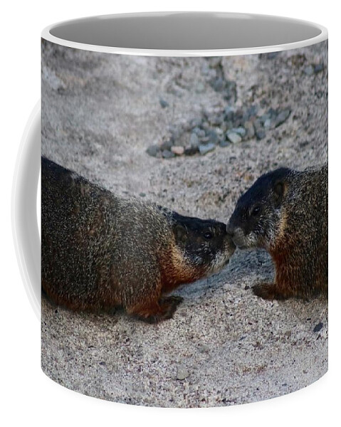 Marmot Coffee Mug featuring the photograph Kissin' Marmots by Yvonne M Smith