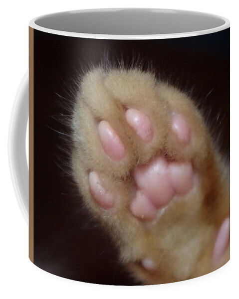 Kitten Coffee Mug featuring the photograph Kitten's Paw by Bess Carter