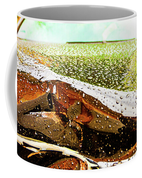 Raindrops Coffee Mug featuring the photograph Knautschzone No.1 by Liquid Eye