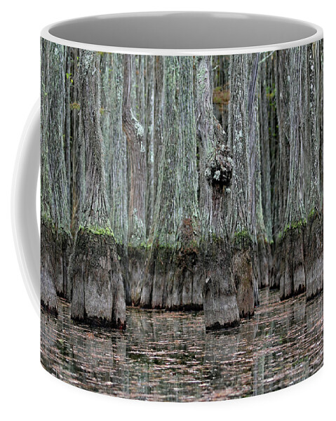 Georgia Coffee Mug featuring the photograph Knot In The Middle by Jennifer Robin