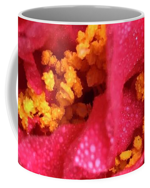Flowers Coffee Mug featuring the photograph Kramer Supreme Camellia Japonica in Clayton, North Carolina by Catherine Ludwig Donleycott
