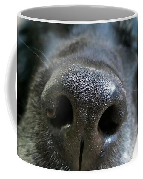 Nature Coffee Mug featuring the photograph Lab Nose by Judy Cuddehe