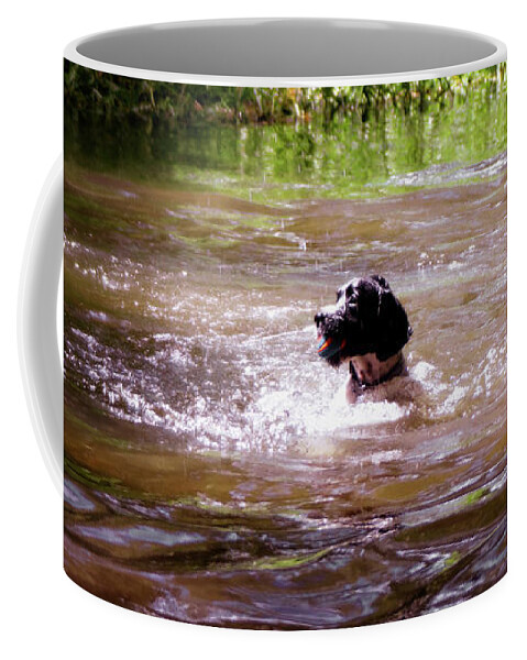 Labrador Coffee Mug featuring the photograph Labrador Retriever Swimming by Doc Braham