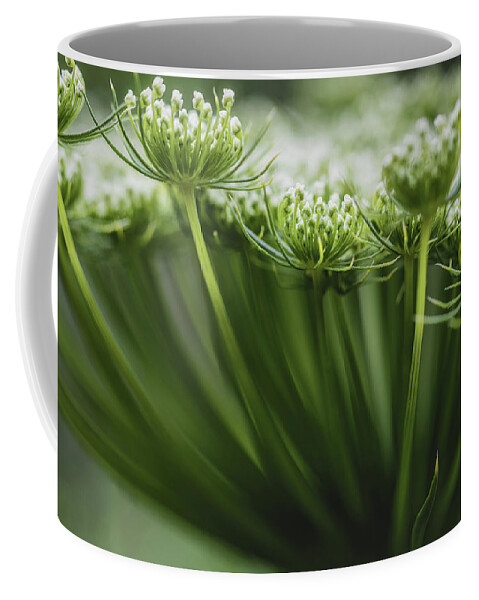Flower Coffee Mug featuring the photograph Lace by Laura Roberts