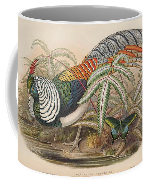 John Coffee Mug featuring the mixed media Lady Amherst's Pheasant by Beautiful Nature Prints