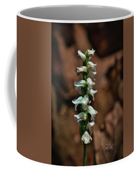 Lady Truss Orchid Coffee Mug featuring the photograph Lady Truss Orchid by Meta Gatschenberger