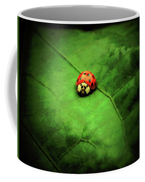 Ladybug Coffee Mug featuring the photograph Angry Bird by Gena Herro