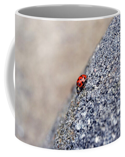 Ladybugs Coffee Mug featuring the photograph Ladybug by Thomas Schroeder