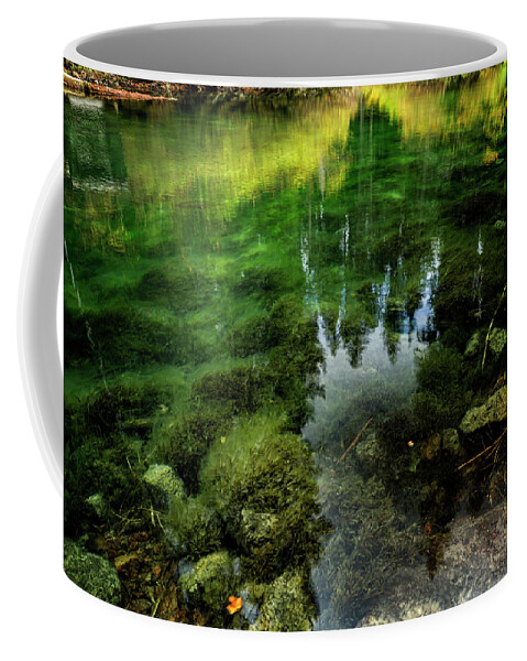 Lake Bed Coffee Mug featuring the photograph Lake Bed at Clear Lake, No. 2 by Belinda Greb