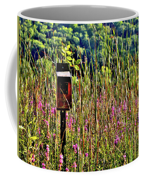 Lake Winona Coffee Mug featuring the photograph Lake Home by Susie Loechler
