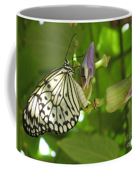 Butterfly Coffee Mug featuring the photograph Landed by World Reflections By Sharon