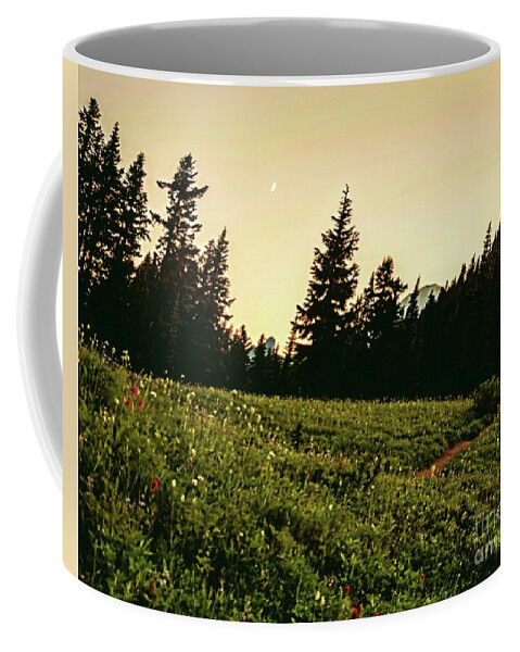 Flower Coffee Mug featuring the photograph Landscape by Yvonne Padmos