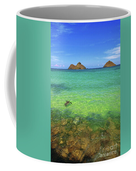 Lanikai Beach Coffee Mug featuring the photograph Lanikai Beach Sea Turtle by Aloha Art
