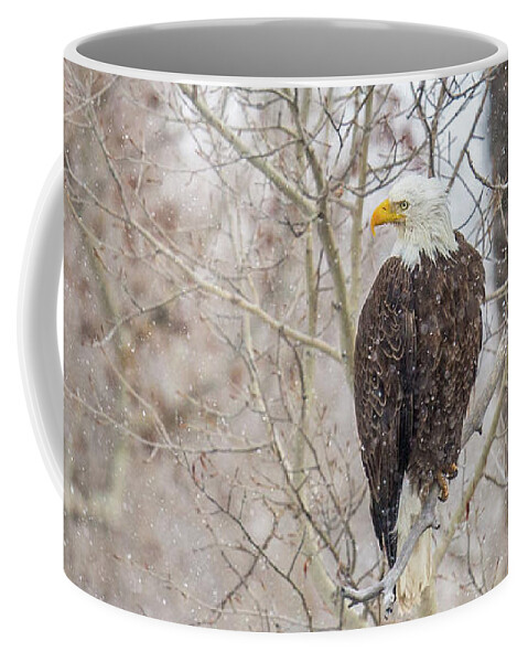 Eagles Coffee Mug featuring the photograph Last Chance by Kevin Dietrich
