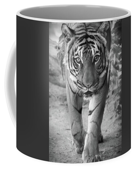 Tiger Coffee Mug featuring the photograph Last Looks by Elaine Malott