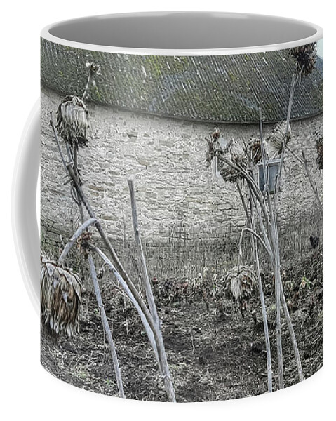 Artichoke Coffee Mug featuring the photograph Last Summer's Artichoke 2 by Elaine Berger