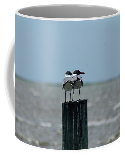  Coffee Mug featuring the photograph Laughing Pair by Heather E Harman