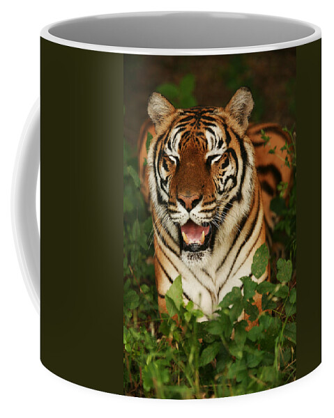 Tiger Coffee Mug featuring the photograph Laughing Tiger by Brad Barton