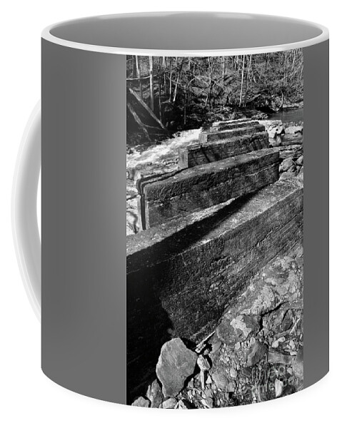 Dayton Coffee Mug featuring the photograph Laurel Snow Trail To Laurel Falls 17 by Phil Perkins