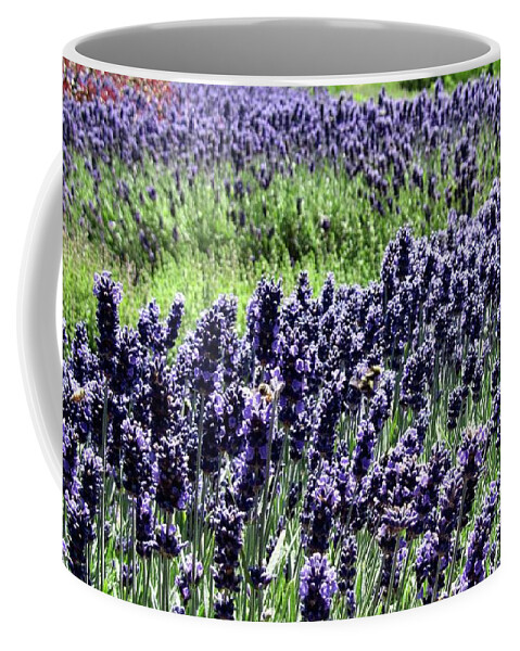 Lavender Coffee Mug featuring the photograph Lavender and Bees by Wendy Golden