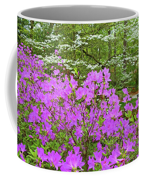Glencarin Garden Coffee Mug featuring the photograph Lavender Azaleas and Dogwood by Eunice Warfel