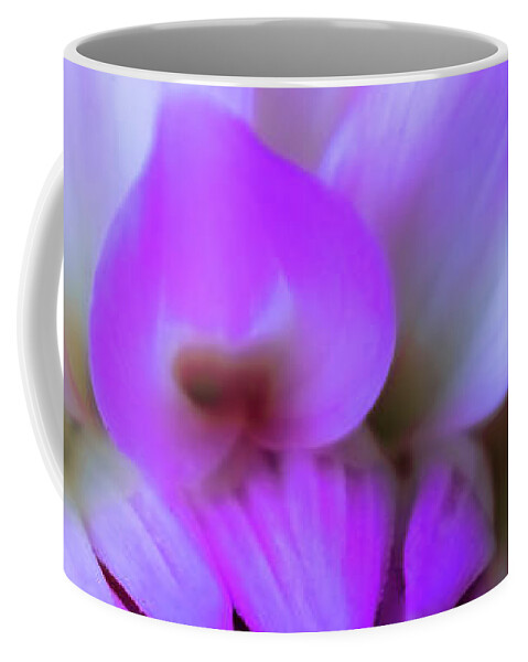 Volunteer Park Dahlia Garden; Dahlia; Flower; Floral; Summer; Nature Coffee Mug featuring the photograph Lavender Dream by Emerita Wheeling