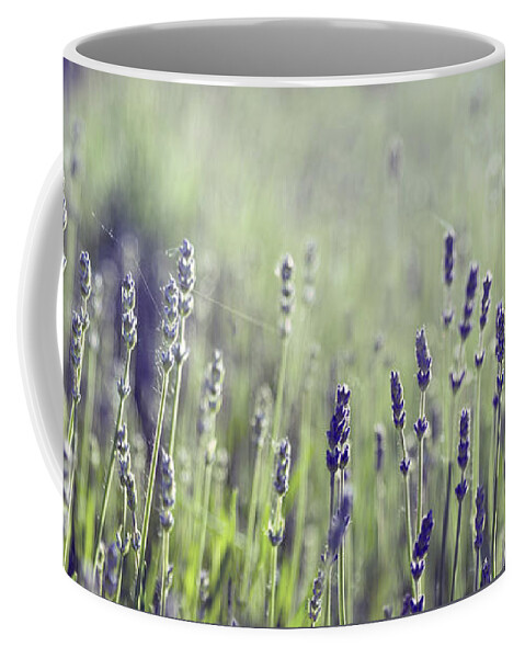Lavender Coffee Mug featuring the photograph Lavender flower in field by Jelena Jovanovic