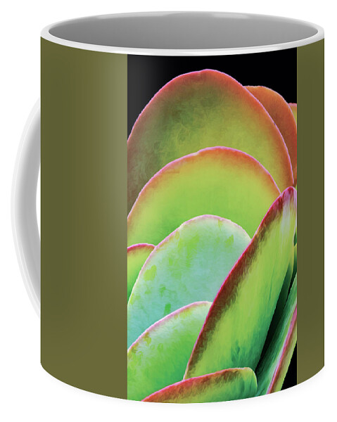 Succulent Coffee Mug featuring the photograph Layeres Of Succulent Plant Leaves by Gary Slawsky