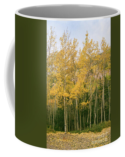 Colorado Coffee Mug featuring the photograph Layers of Yellow by Ana V Ramirez