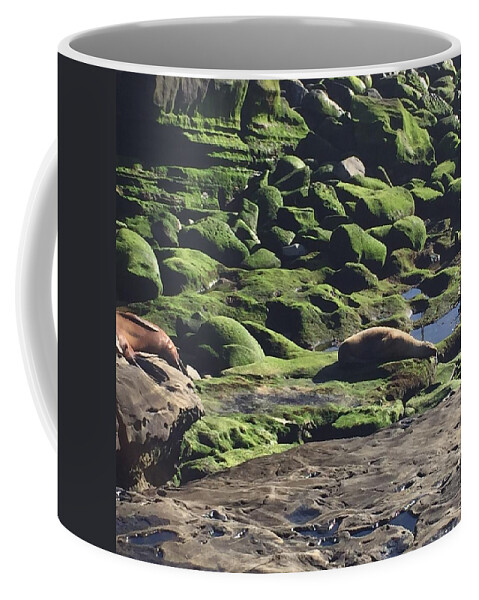 Photography Coffee Mug featuring the photograph Lazy Day at Seal Beach by Lisa White