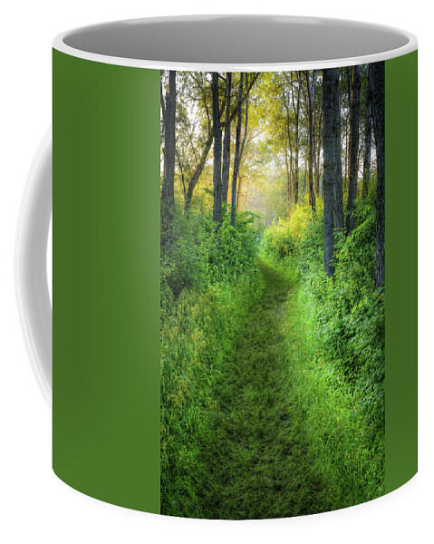 Path Coffee Mug featuring the photograph Lead the Way by Brad Bellisle