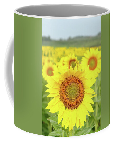 Sunflower Coffee Mug featuring the photograph Leader Of The Pack by Lens Art Photography By Larry Trager