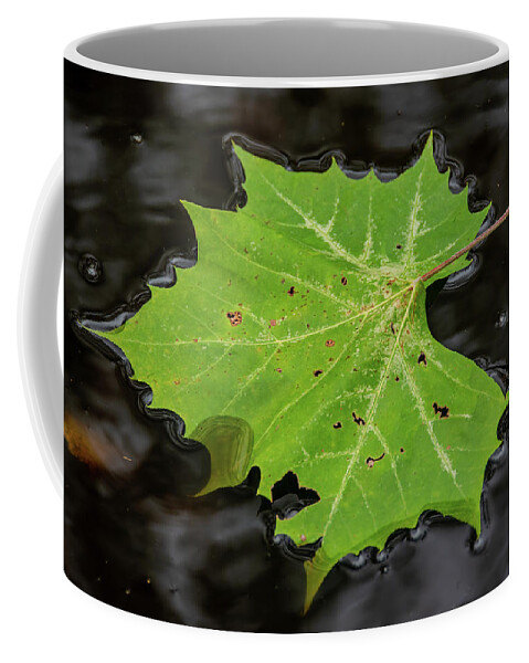 Leaf Coffee Mug featuring the photograph Leaf on Dark Water by Douglas Wielfaert