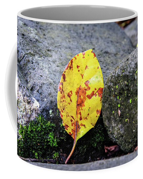 Leaf Coffee Mug featuring the photograph Leaf on Lava Rock by Craig A Walker