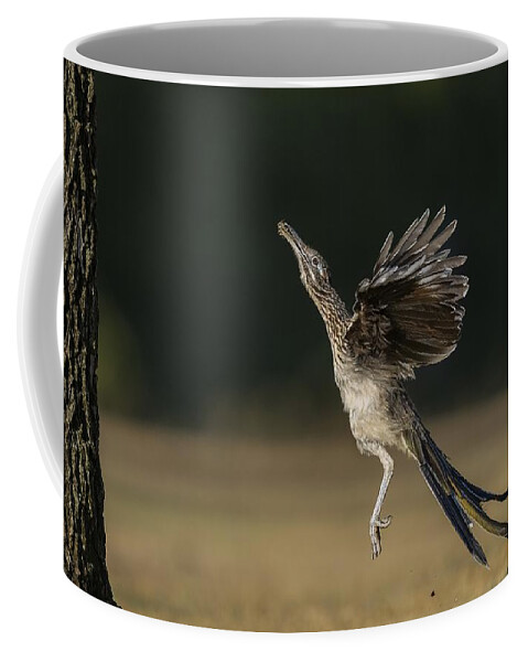 Greater Roadrunner Coffee Mug featuring the photograph Leaping to feed by Puttaswamy Ravishankar