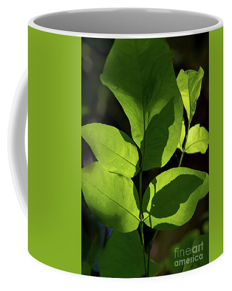 Green Coffee Mug featuring the photograph Leaves of Green by Neala McCarten
