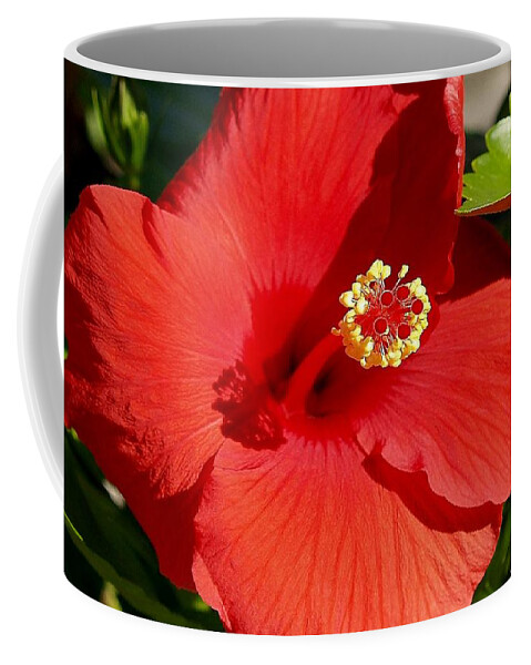 Fine Art Photography Coffee Mug featuring the photograph Leila by Patricia Griffin Brett