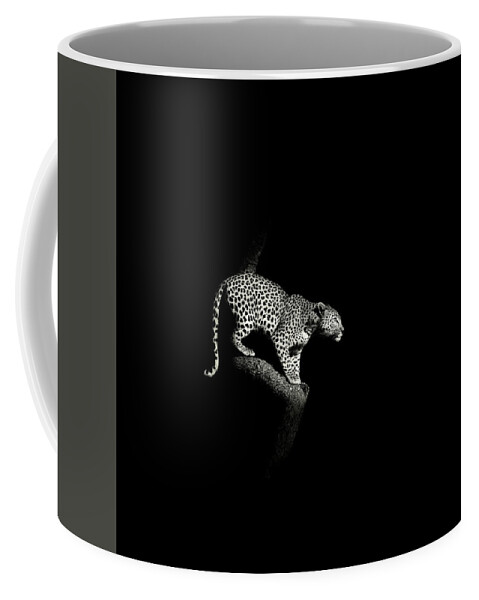 African Coffee Mug featuring the photograph Leopard crouching, South Africa by Stu Porter