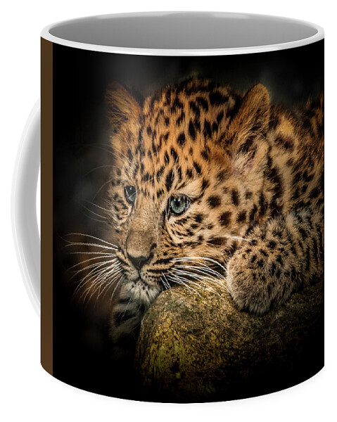 Wild Animal Coffee Mug featuring the photograph Leopard Cub by Chris Boulton