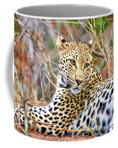 Africa Coffee Mug featuring the photograph Leopard 1 by Tom Watkins PVminer pixs